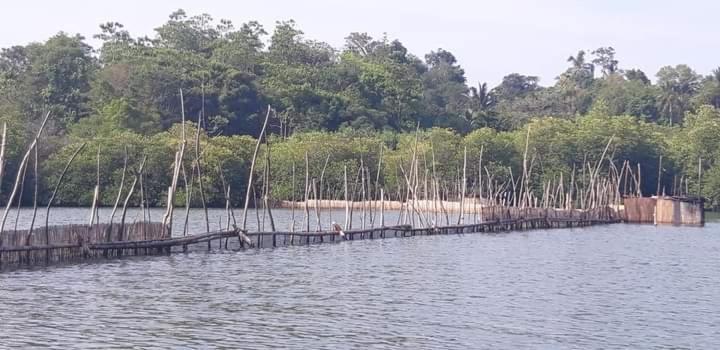 Rashmi HomeStay Balapitiya Luaran gambar