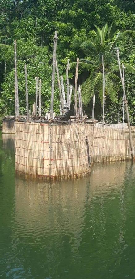 Rashmi HomeStay Balapitiya Luaran gambar